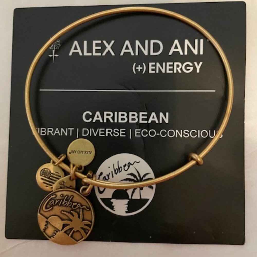 Alex and Ani Carribean Bracelet